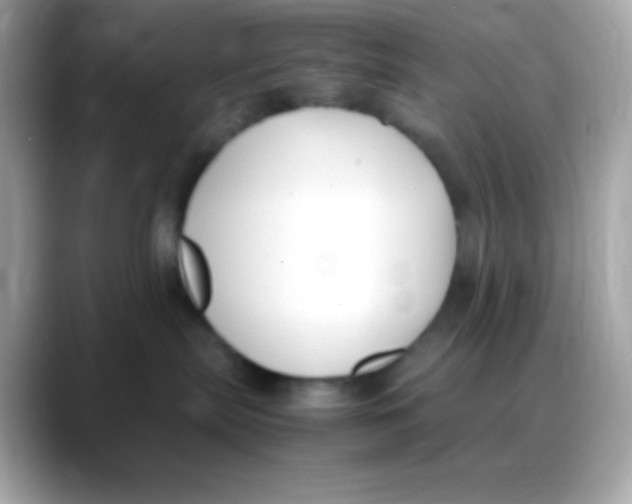 X0000088150287200706042035