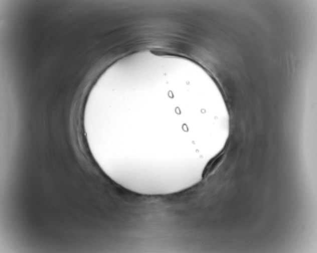 X0000088150289200706042034