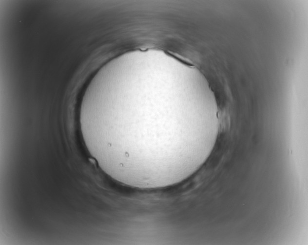 X0000088150291200706042034