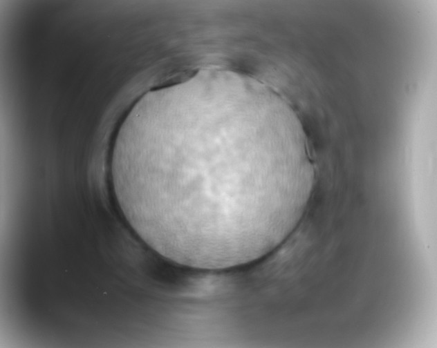 X0000088150293200706042034