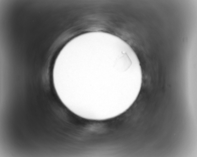 X0000088150296200706042034