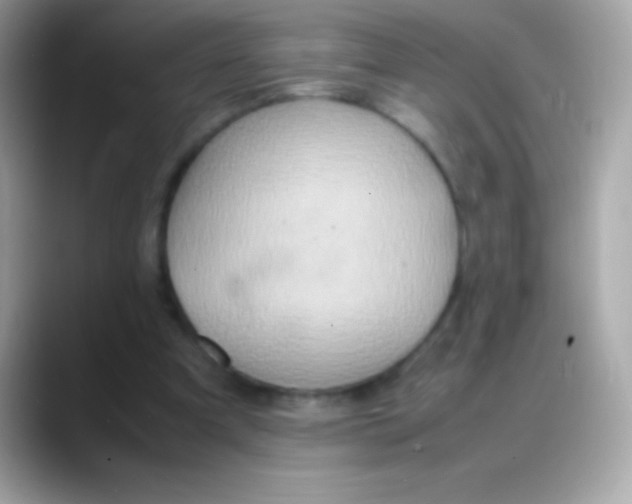 X0000088150297200706042034