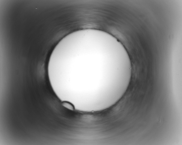 X0000088150298200706042034