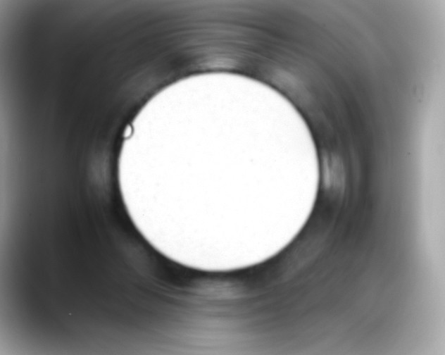 X0000088150300200706042034