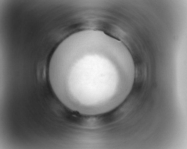 X0000088150301200706042034