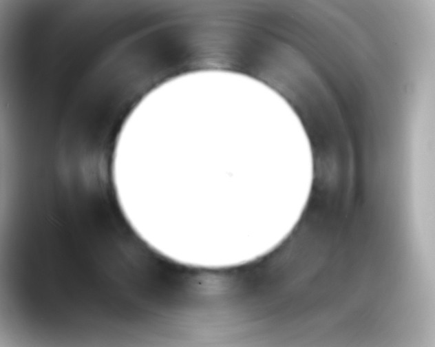 X0000088150302200706042034