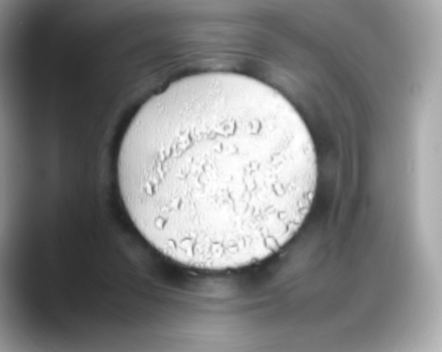 X0000088150303200706042034