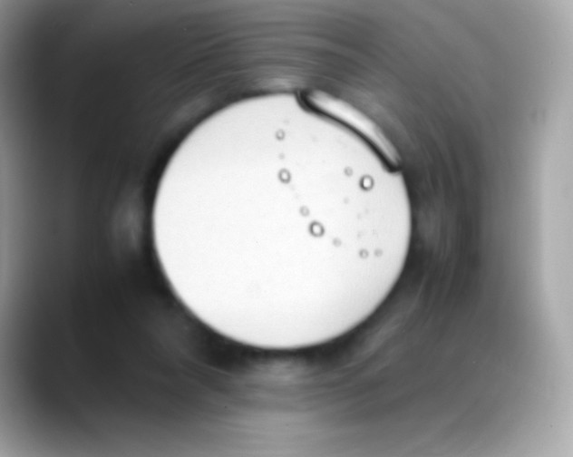 X0000088150304200706042034