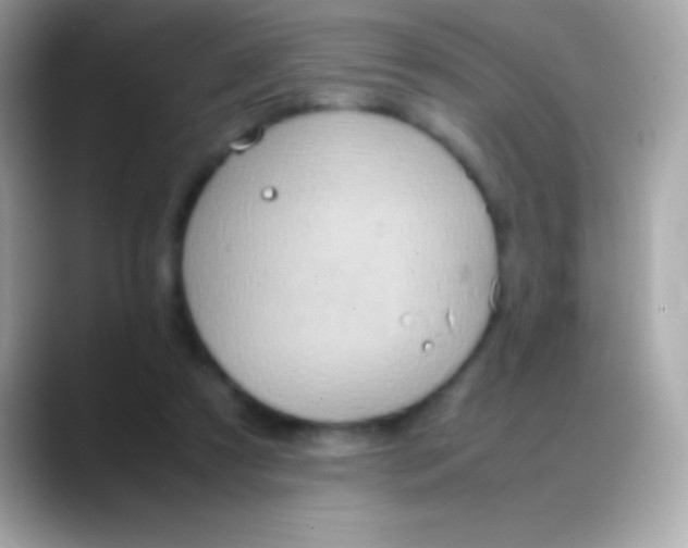 X0000088150305200706042034