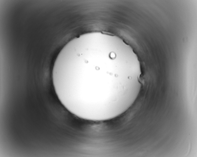 X0000088150306200706042034