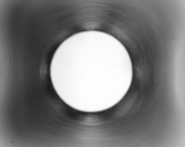 X0000088150308200706042034