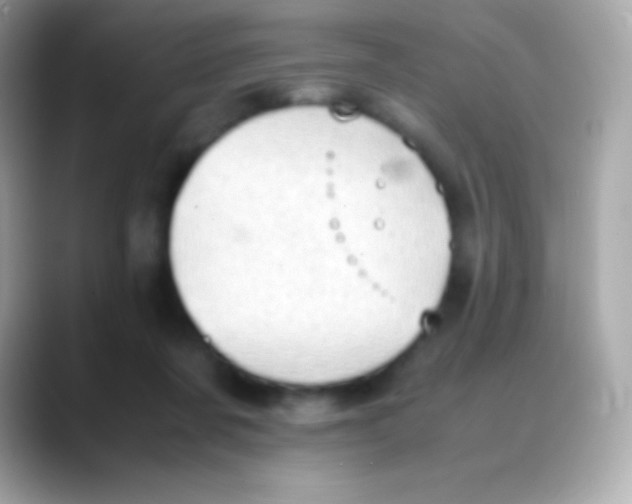 X0000088150311200706042034