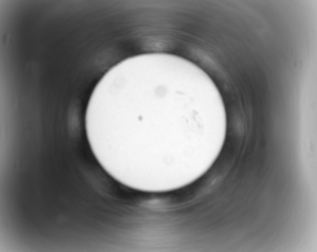 X0000088150312200706042034