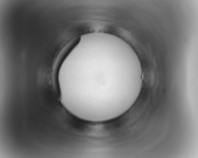 X0000088150313200706042034