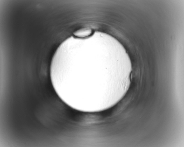 X0000088150315200706042034