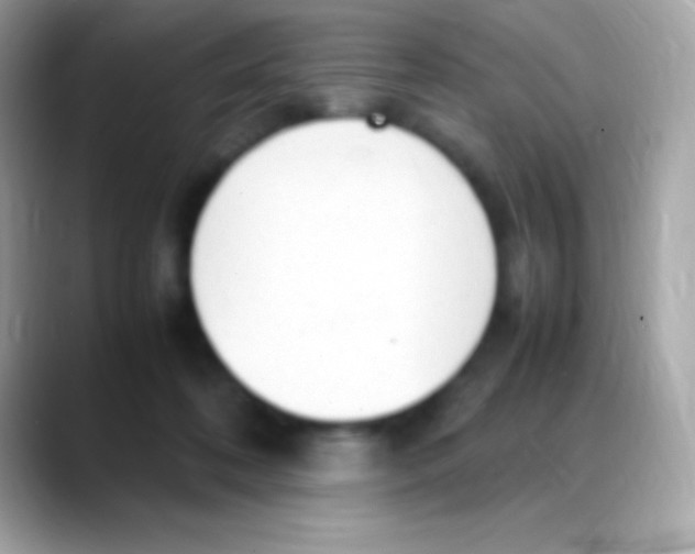 X0000088150316200706042034