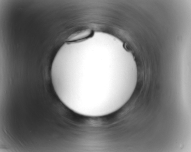 X0000088150317200706042034