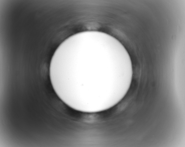 X0000088150321200706042034