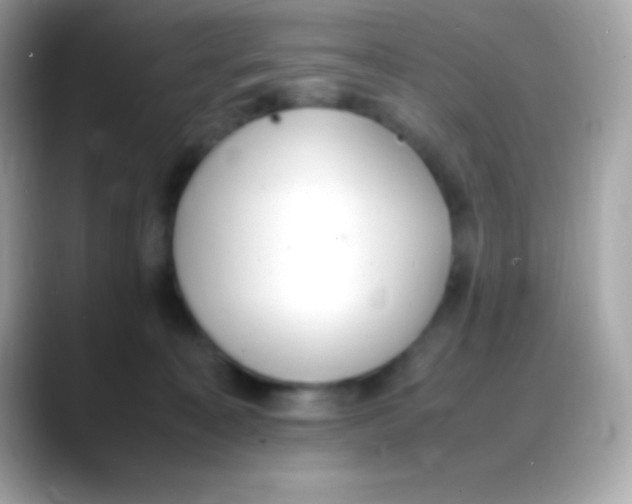 X0000088150323200706042034