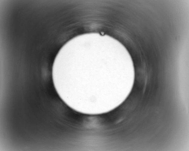 X0000088150324200706042034