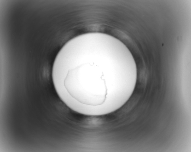 X0000088150326200706042034