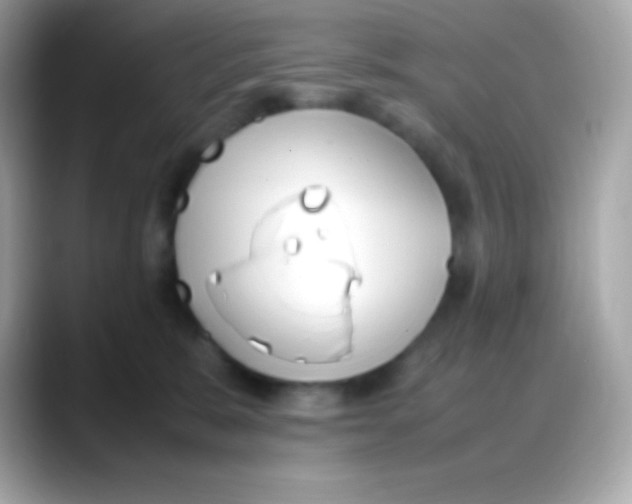 X0000088150327200706042034