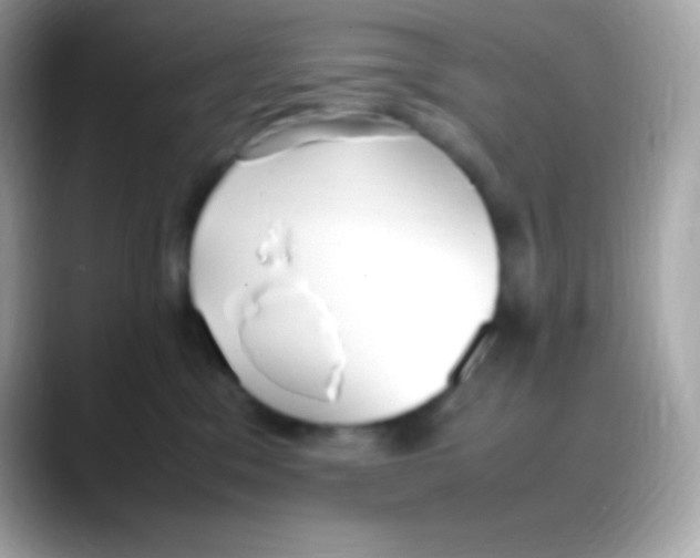 X0000088150329200706042034