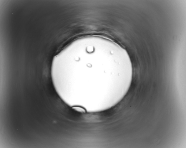 X0000088150331200706042034