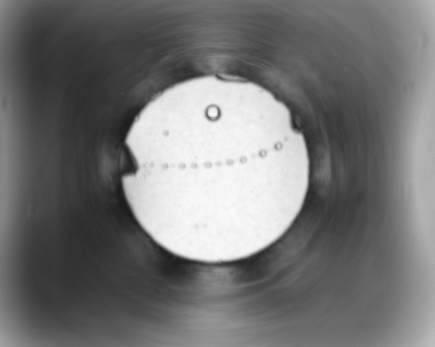 X0000088150332200706042034