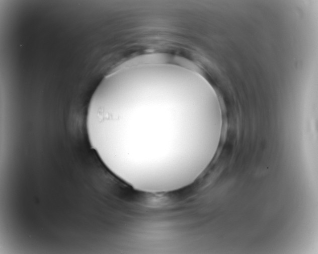 X0000088150333200706042034