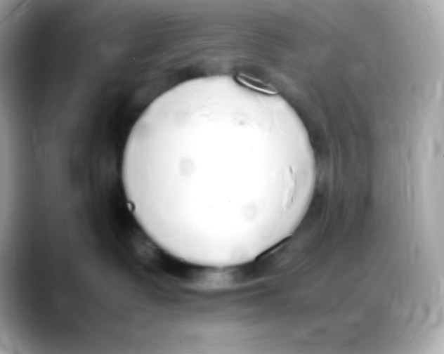 X0000088150335200706042034