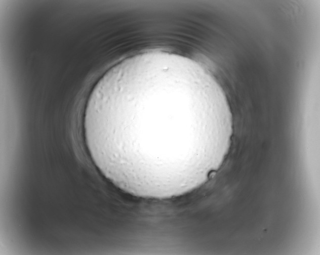 X0000088150337200706042033