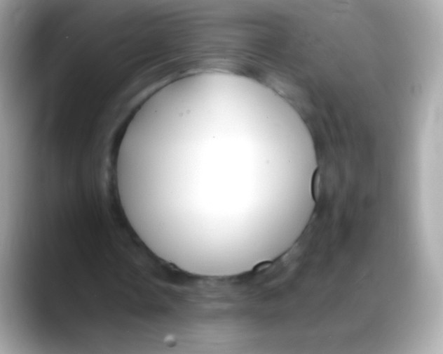 X0000088150338200706042033