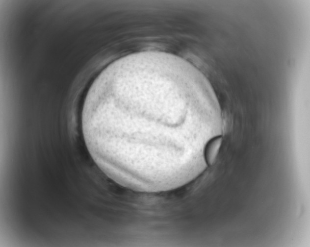 X0000088150339200706042033