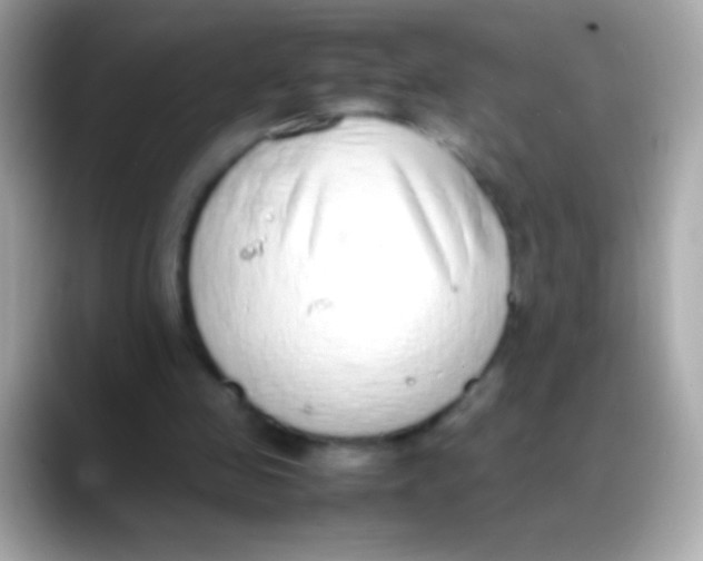 X0000088150341200706042033