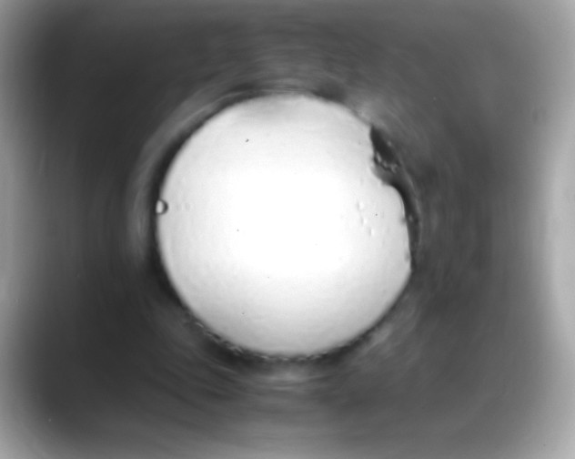 X0000088150343200706042033