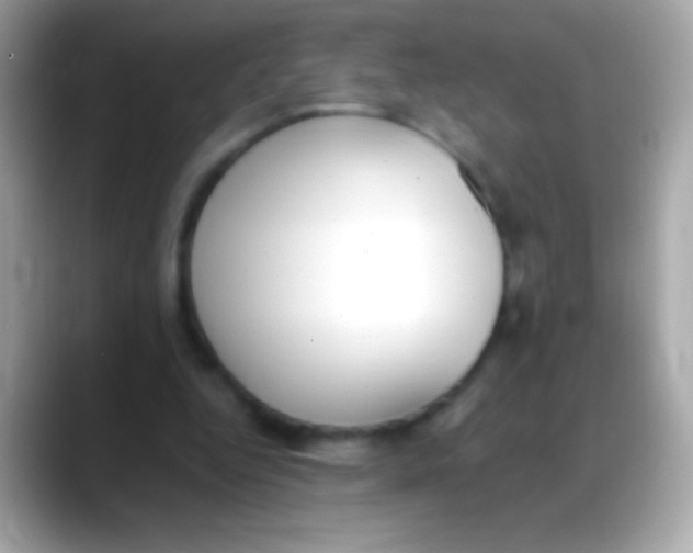 X0000088150344200706042033