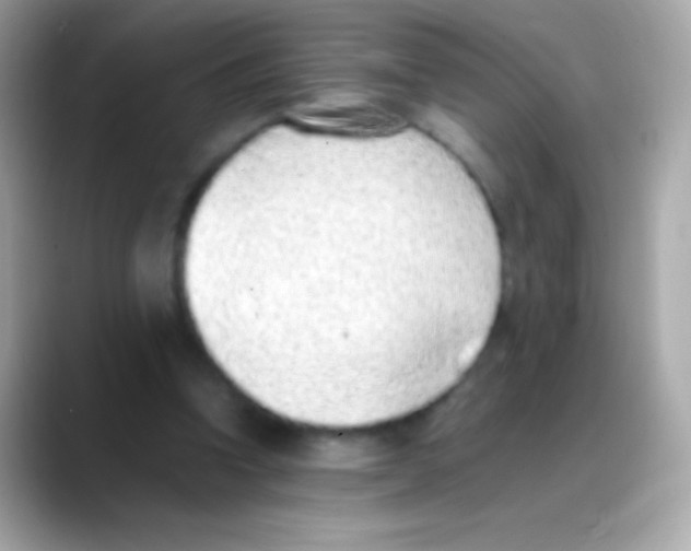 X0000088150346200706042033