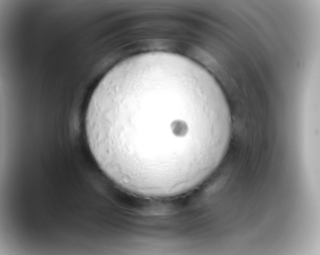 X0000088150347200706042033