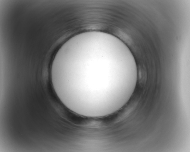 X0000088150348200706042033