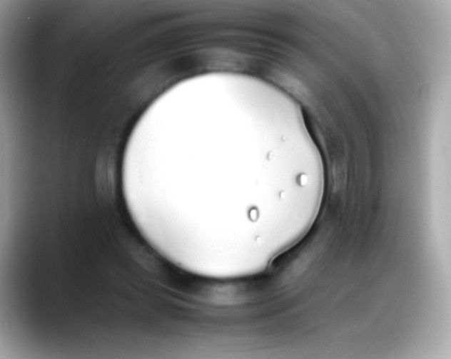 X0000088150349200706042033