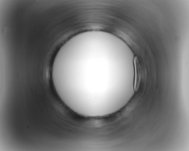 X0000088150350200706042033