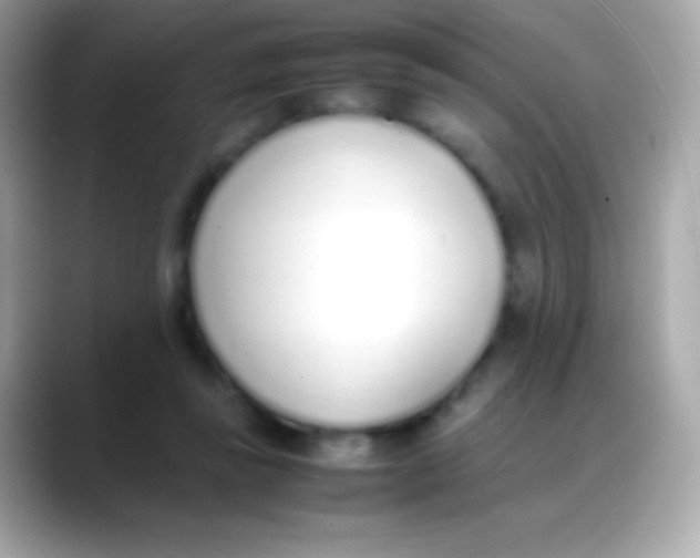 X0000088150355200706042033