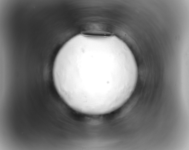 X0000088150359200706042034