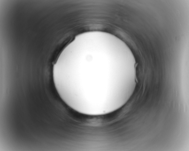 X0000088150362200706042034