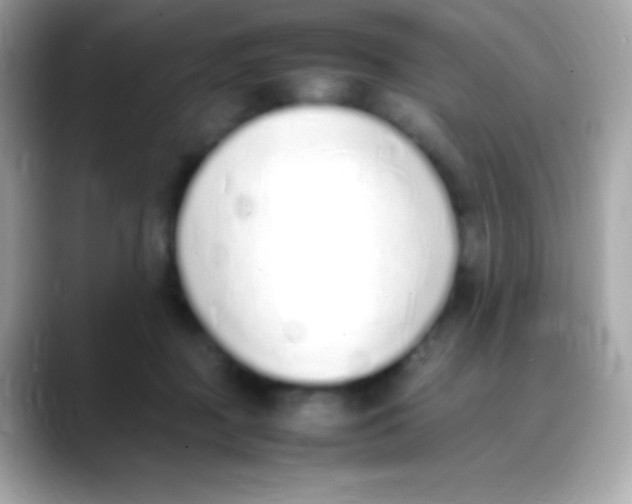 X0000088150363200706042034