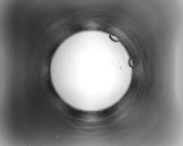 X0000088150365200706042034