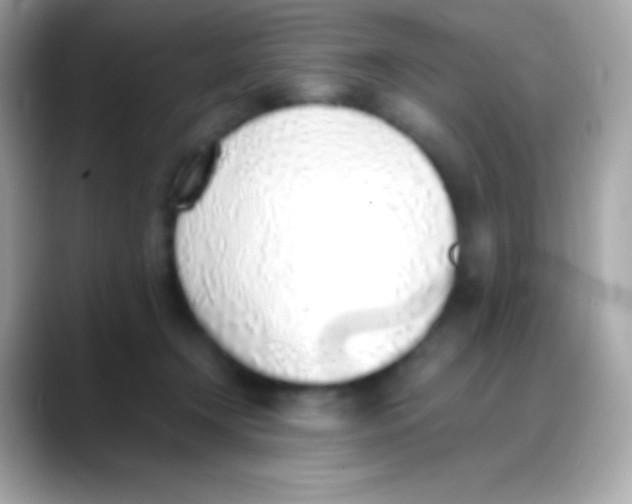 X0000088150366200706042034