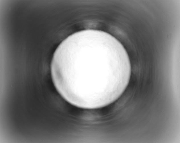 X0000088150367200706042034