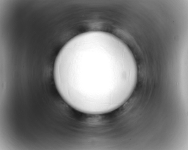 X0000088150369200706042034